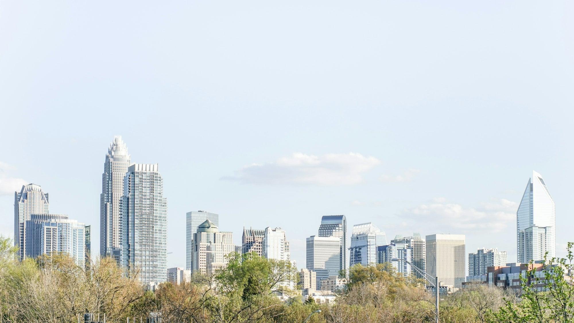 Charlotte skyline rising above the tree canopy