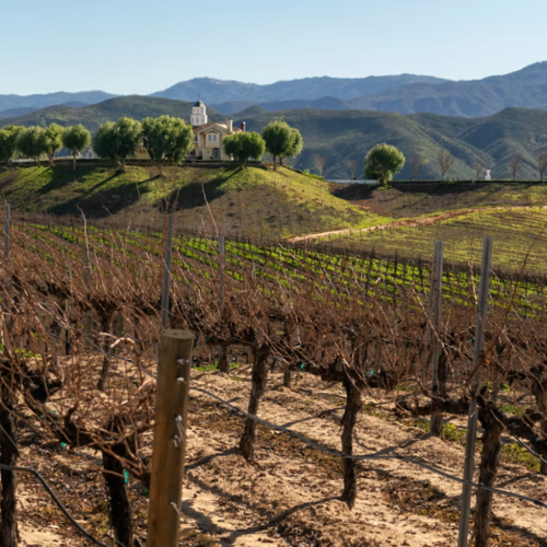 Temecula Neighborhoods: A Local's (and Mom's) Guide to Where You Should Live