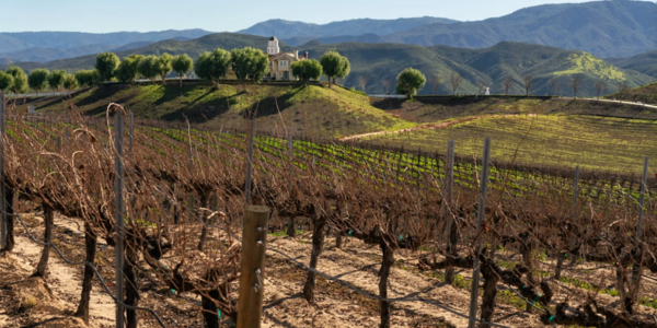 Temecula Neighborhoods: A Local's (and Mom's) Guide to &hellip;