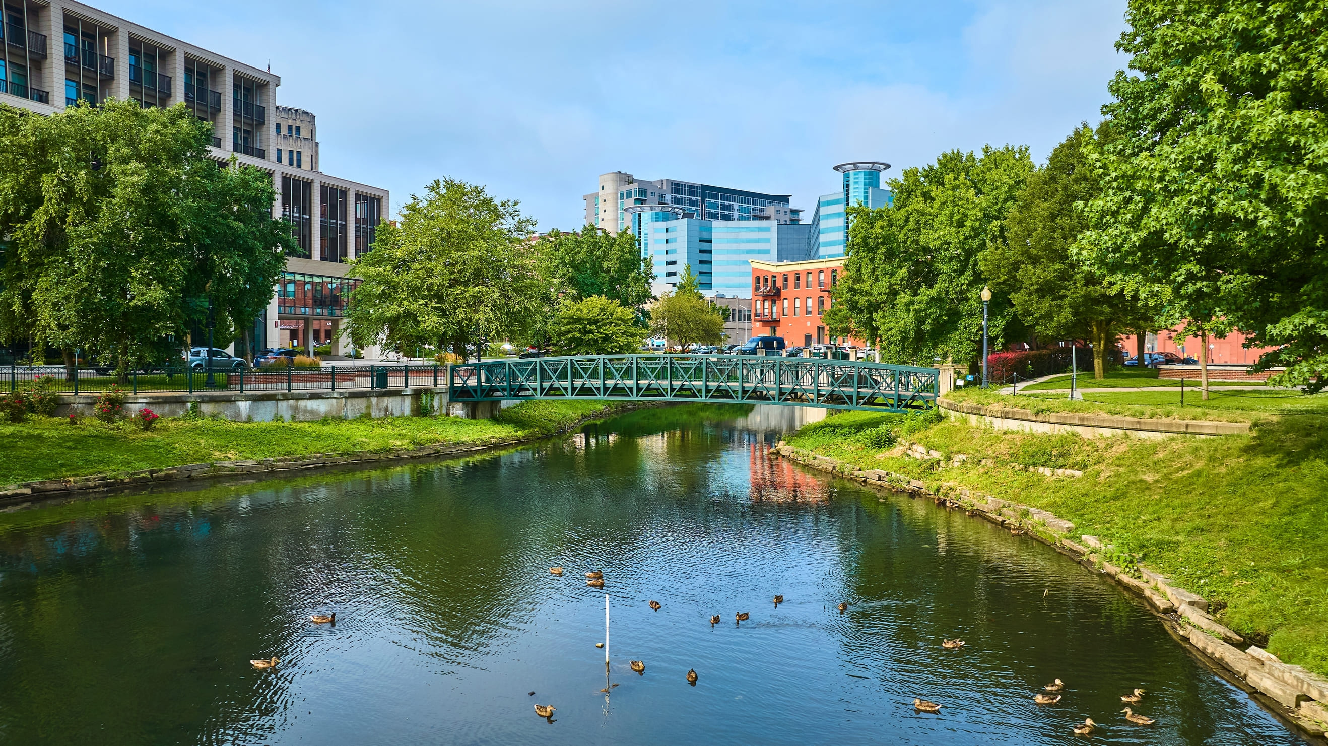 Aerial View of Kalamazoo Park Bridge and Ducks in Motion (1) (1)