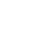 ssj-icon-border-white