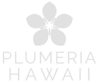 Company-Logo-1.pdf