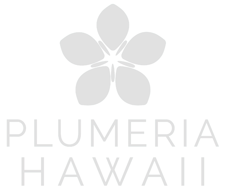 Company-Logo-1.pdf