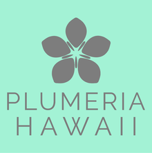 Company-Logo-1.pdf