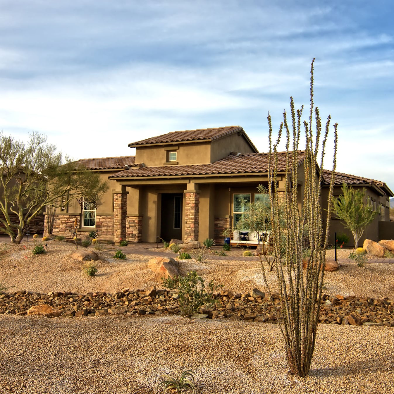 Ocotillo House