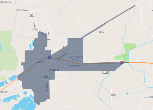 vidor.png