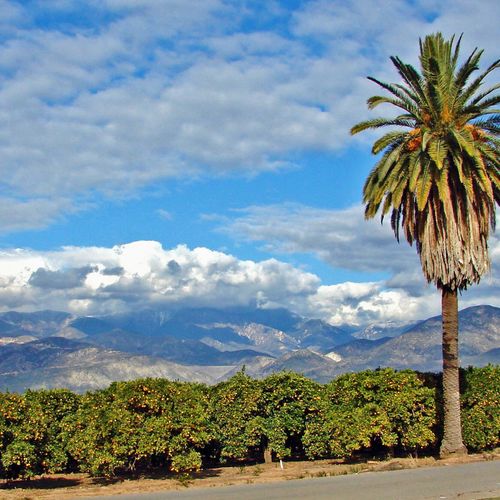 Living in Mentone, CA: Homes, Neighborhoods & What to Know Before Moving
