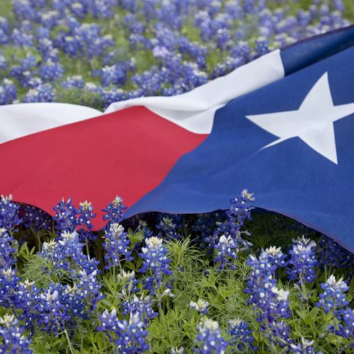 Texas Homestead Exemption: A North Texas Homeowner's Guide