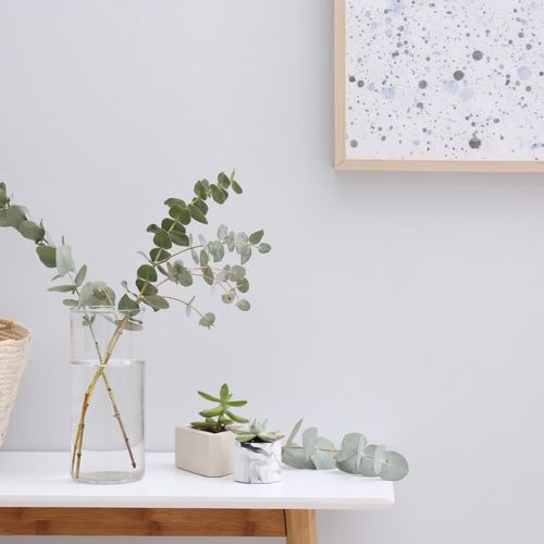 Eco-Friendly Home Upgrades That Add Value in Fate, TX