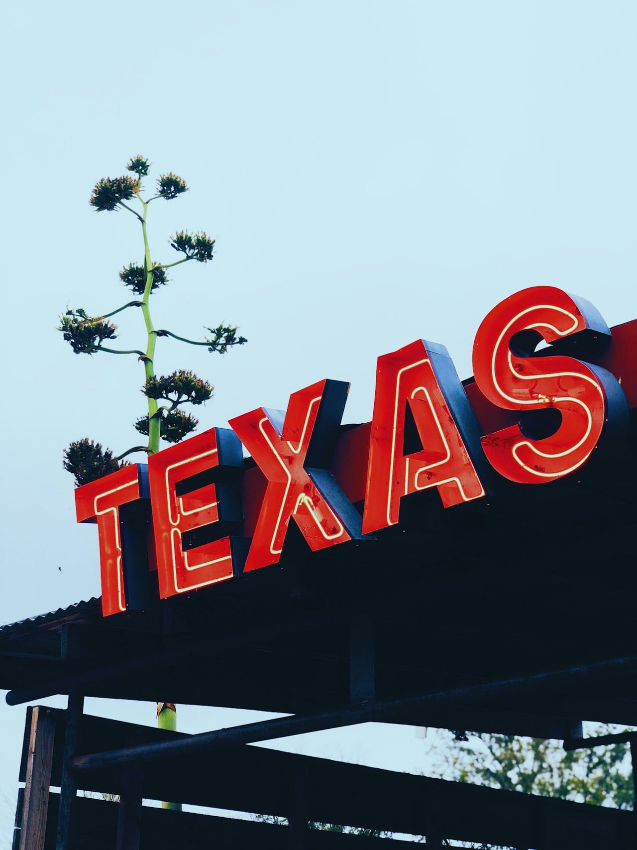 Red neon "Texas" sign against a clear sky, used as the cover image for the Dallas metro housing market update