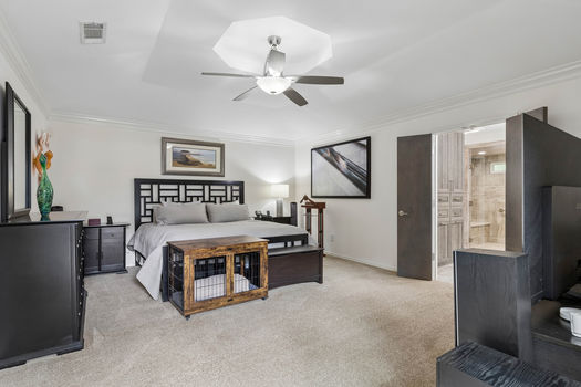 Primary bedroom with crown molding and ceiling fan | 9020 Glen Springs Dr, Dallas, TX 75243 | Lake Highlands