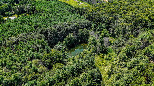 4361 12 Hwy S_Drone_Edit124