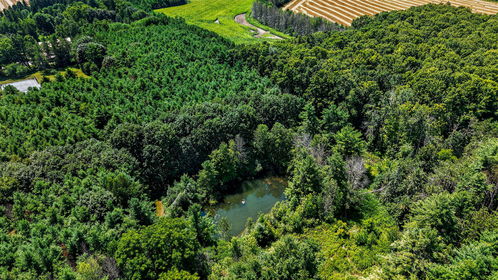 4361 12 Hwy S_Drone_Edit125