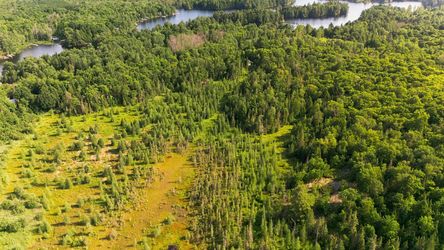 DJI_20260710182342_0966_D_web