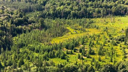 DJI_20260710182712_0972_D_web