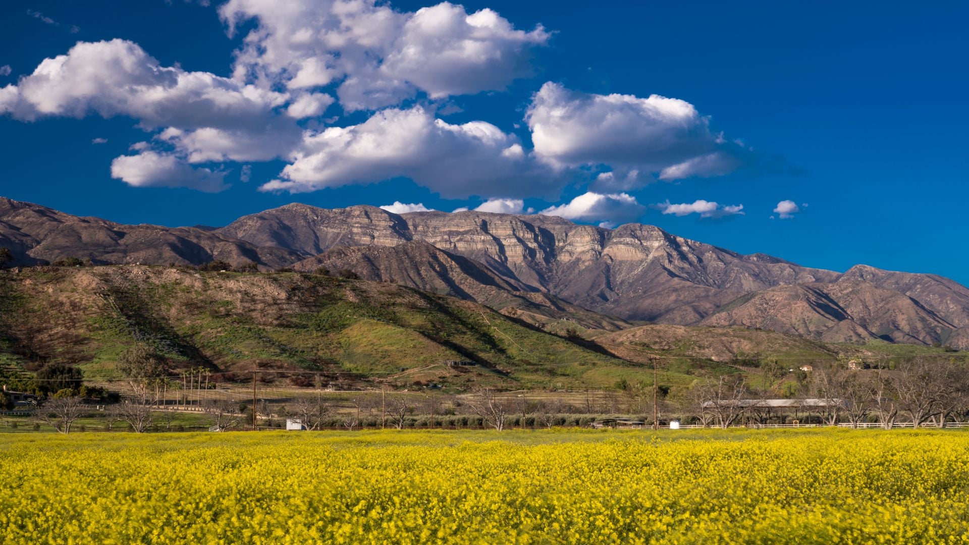 Ojai