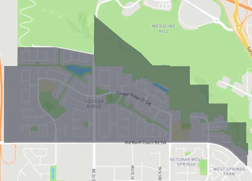 cougar ridge.png