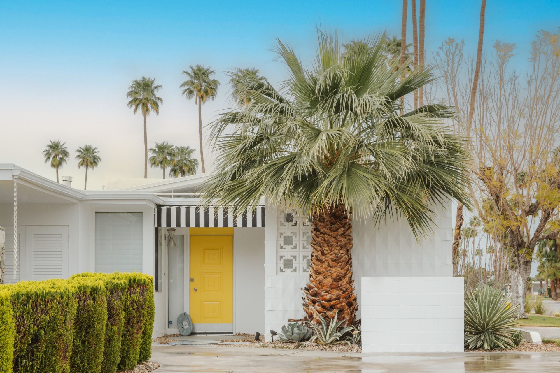 Mid-century modern residential architecture in Palm Springs, California.
