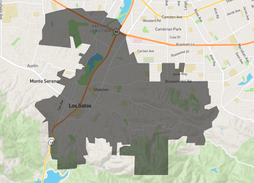 los gatos.png