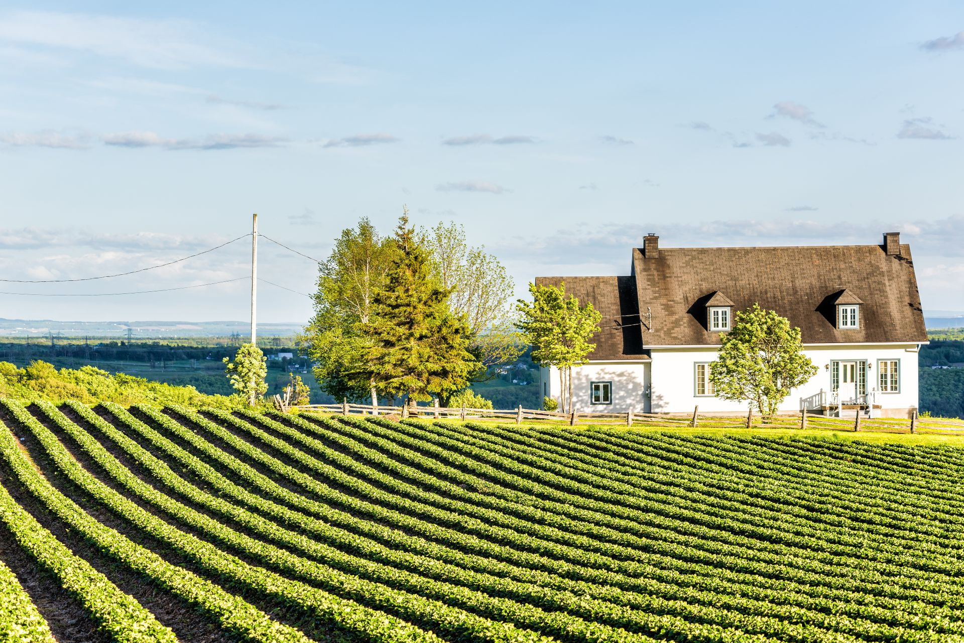 Landscape view of farm in Ile
