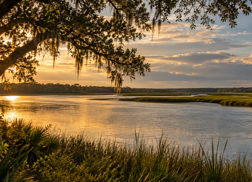 Port Wentworth River Backwaters