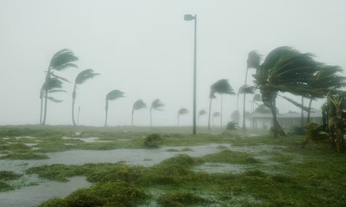 disaster-preparedness