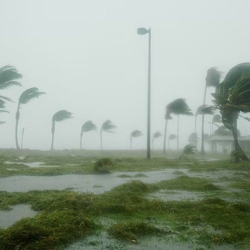 disaster-preparedness