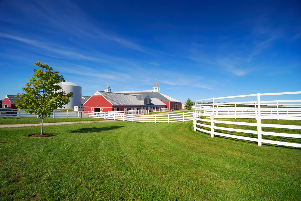 neighboorhodd