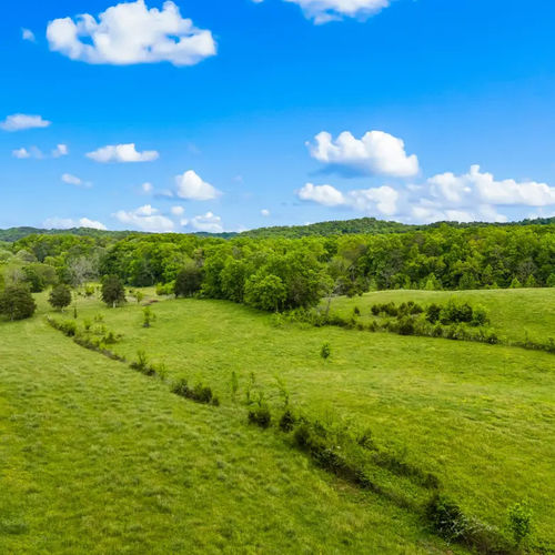Right of Way Problems in Tennessee: How an Unrecorded Driveway Almost Killed a 20 Acre Land Sale