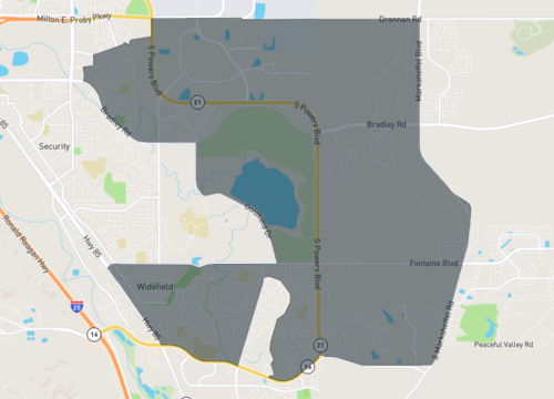 widefield 1.png