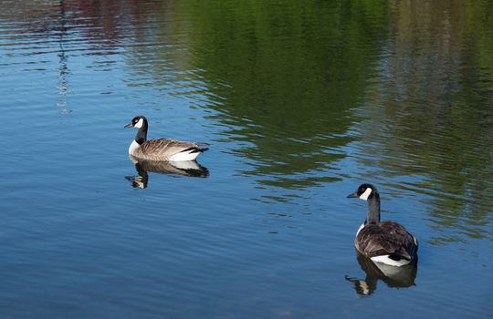 Day141.365project.jendeanphoto.1307-Edit