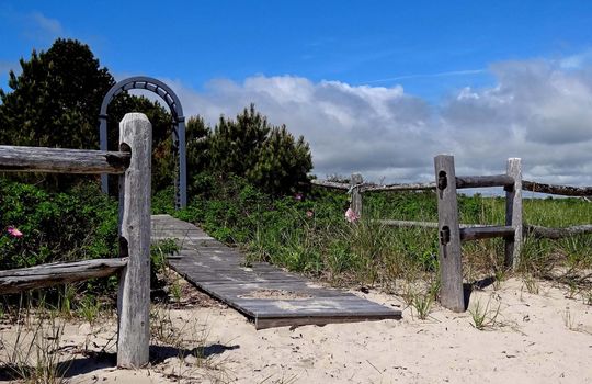 10845670_935449779819314_6915239109505983373_o