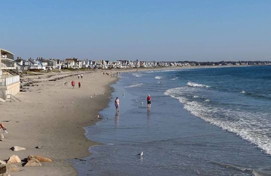 11080744_935449773152648_1989950651618906063_o