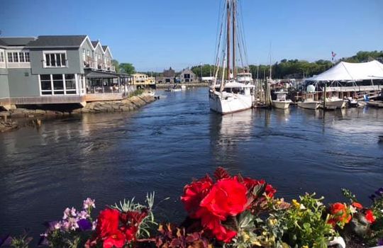 64913405_10155968702416213_2595697089161723904_n