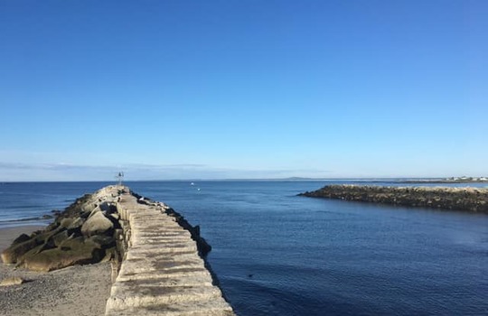 65472205_10155983199301213_989909048839110656_n