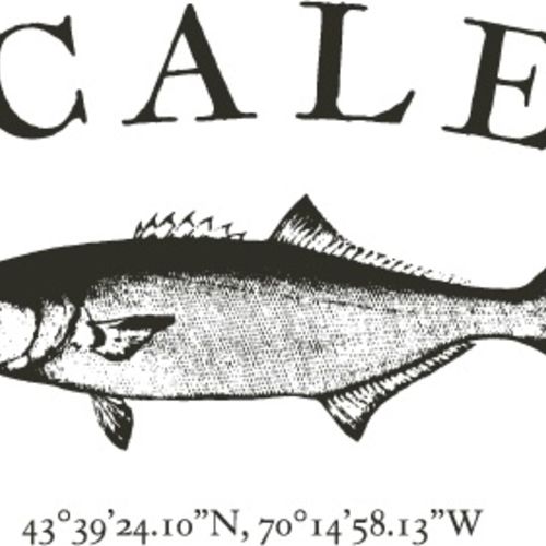 Business Spotlight: Scales