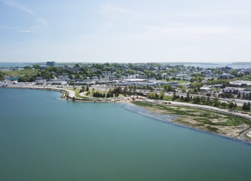 Screen Shot 2021-08-10 at 7.56.40 AM