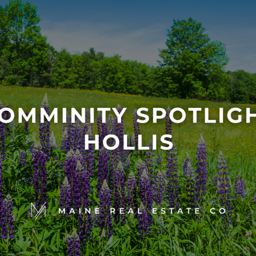 Community Spotlight - Hollis