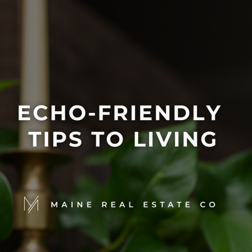 5 Tips For Eco-Friendly Living