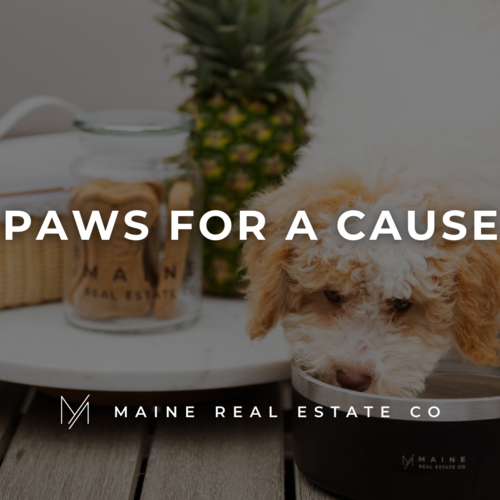 Paws for a Cause