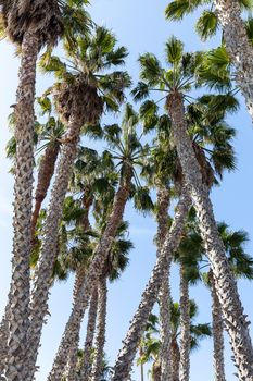 CA &#8211; San Diego &#8211; Oceanside &#8211; 108