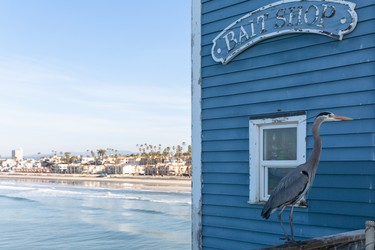 CA &#8211; San Diego &#8211; Oceanside &#8211; 46