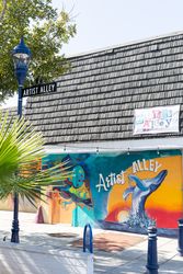 CA &#8211; San Diego &#8211; Oceanside &#8211; 82 (Large)