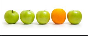 A Tale of Two Markets: A 6-Month Update