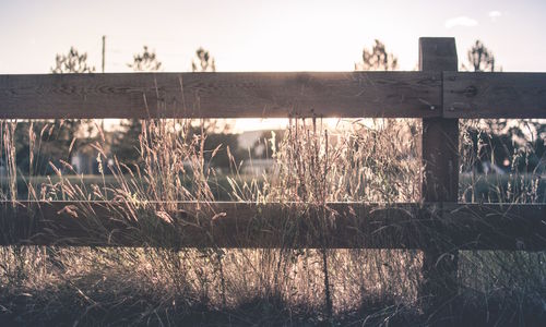 50 Spring and Summer Home Maintenance Tips
