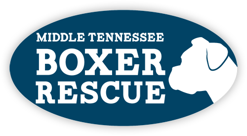 Middle Tennessee Boxer Resuce