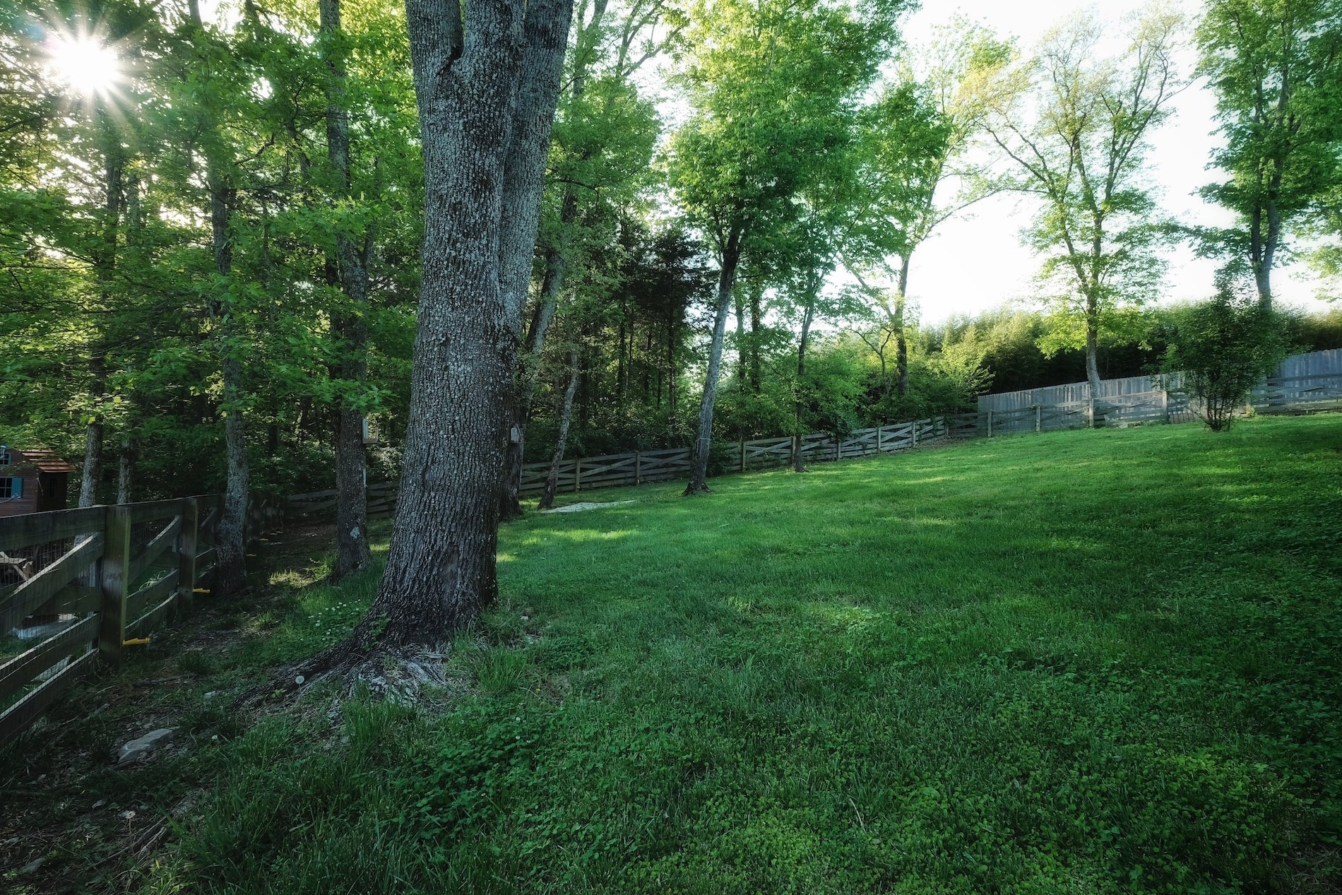 Large fenced back yard with privacy in Nolensville, TN