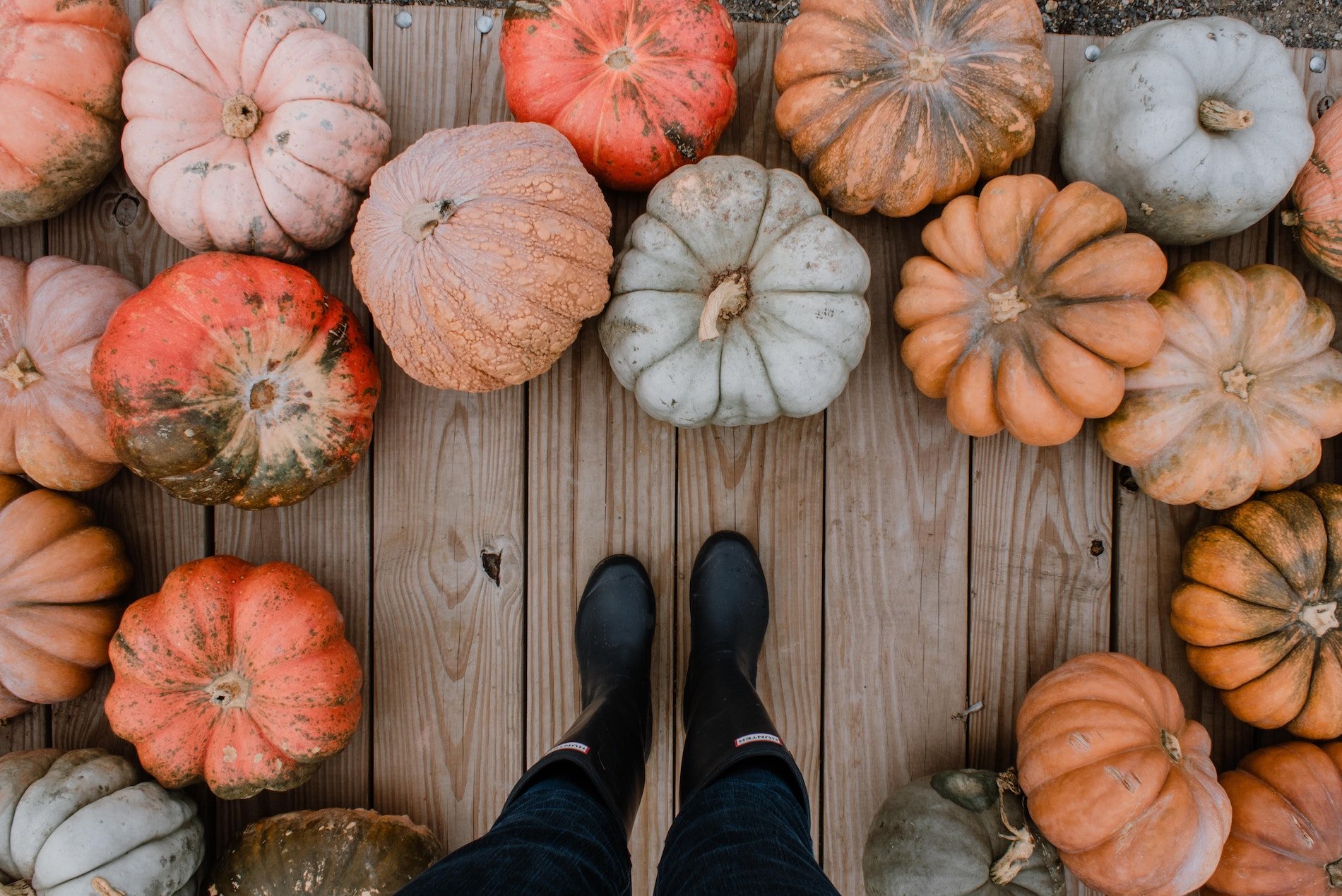 Pumpkin Patches and Fall Things to Do in Nashville Tennessee