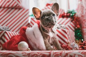 A Very Merry Frenchmas and other Christmas events in Nashville this December 2019