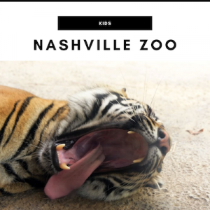 Nashville Zoo - Nashville, TN Local Gifts